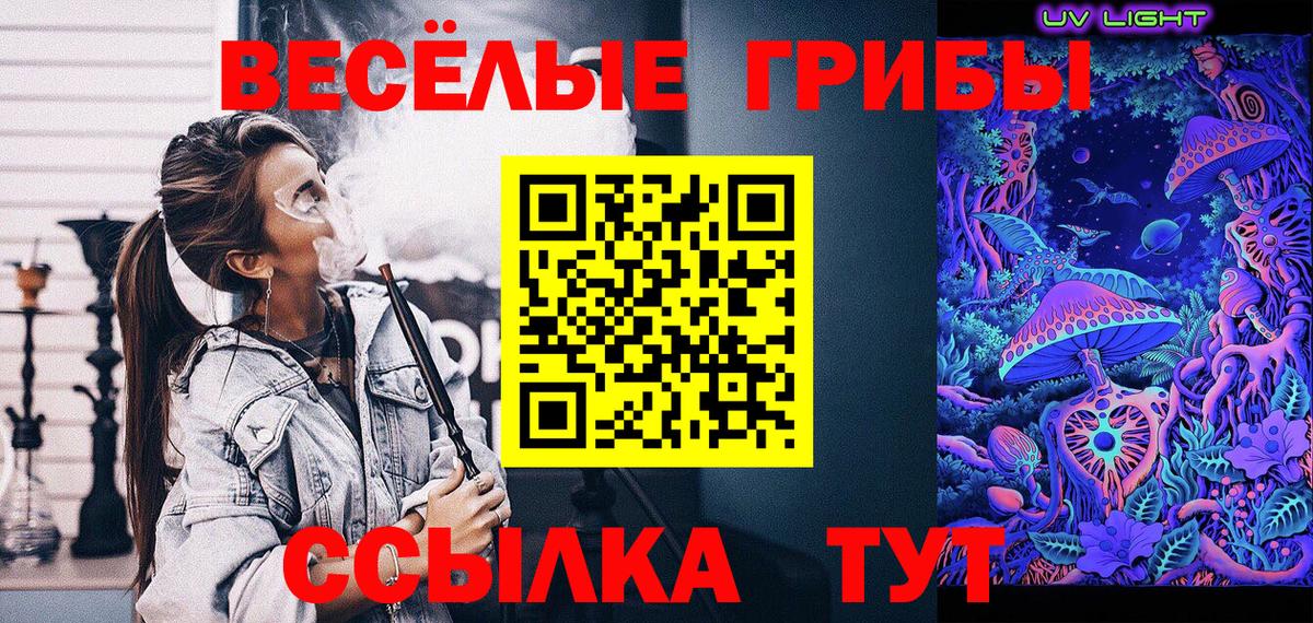 Ртищево  Галлюциногенные грибы Psilocybe  наркошоп  Вход с VPN 